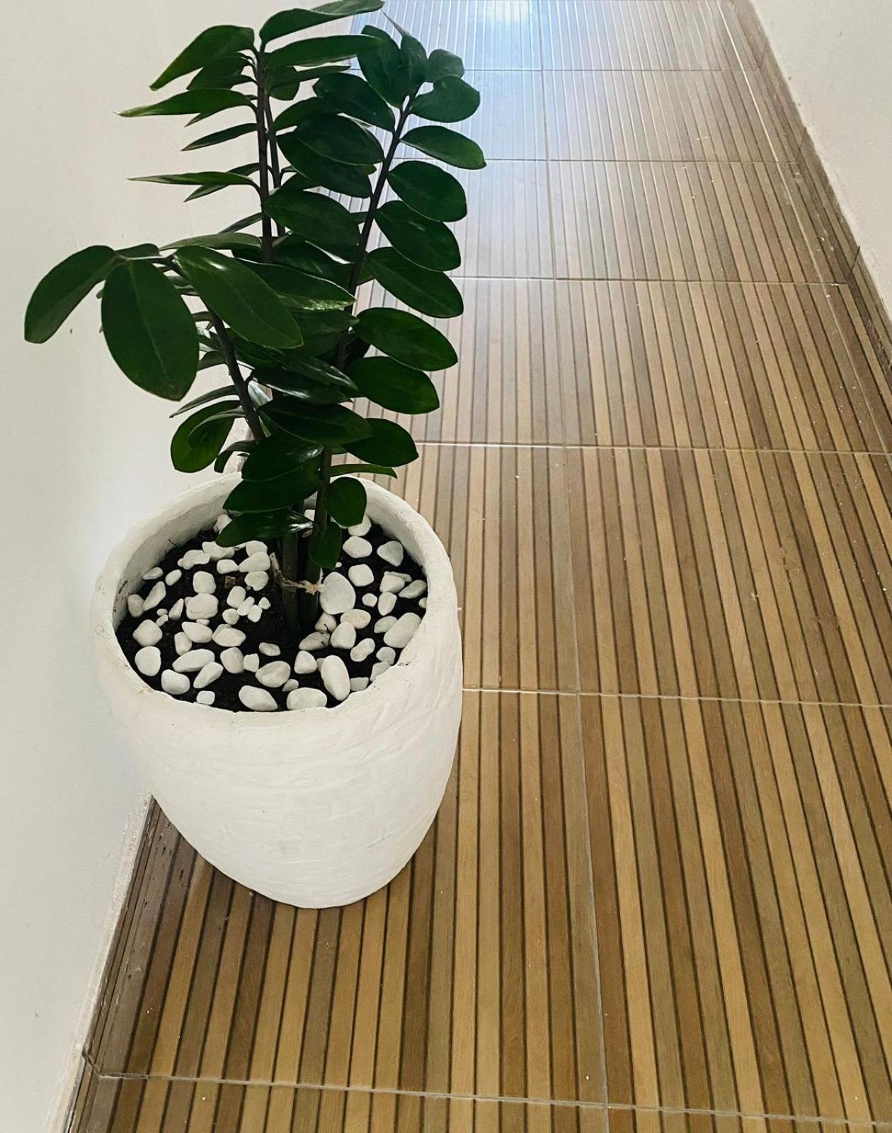 Novo Liz 2 Apartamento